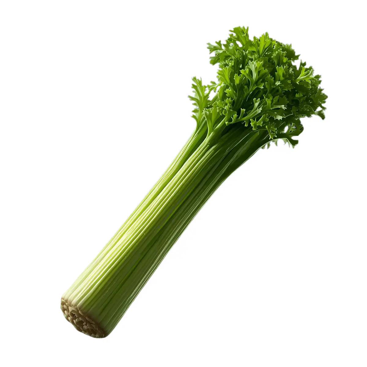 Kereviz